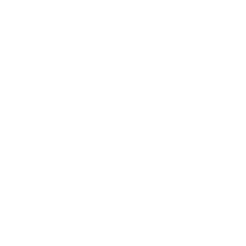Veelviss
